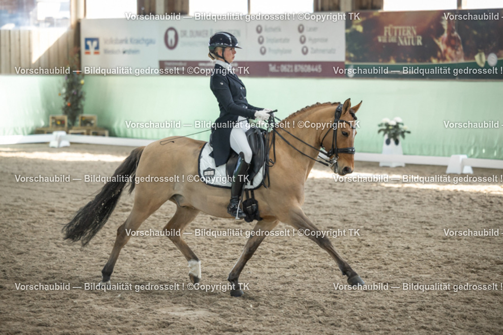 _D5A0385 | Emotionale Pferde- & People-Fotografie rund um Heidelberg, Leimen & Umgebung. Natürliche Fotos von Pferd, Mensch & Familie. Jetzt Termin sichern!