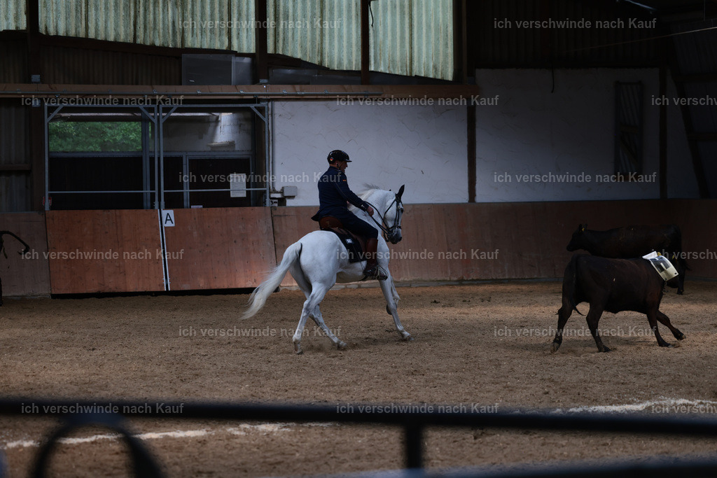 Masterclass_stoibphotography_C2_L7445.JPG | working equitationturnier fotograf videograf stoibphotography marixx film working equitation deutschland reitsport turnierfotografie eventfotografie equestrian events