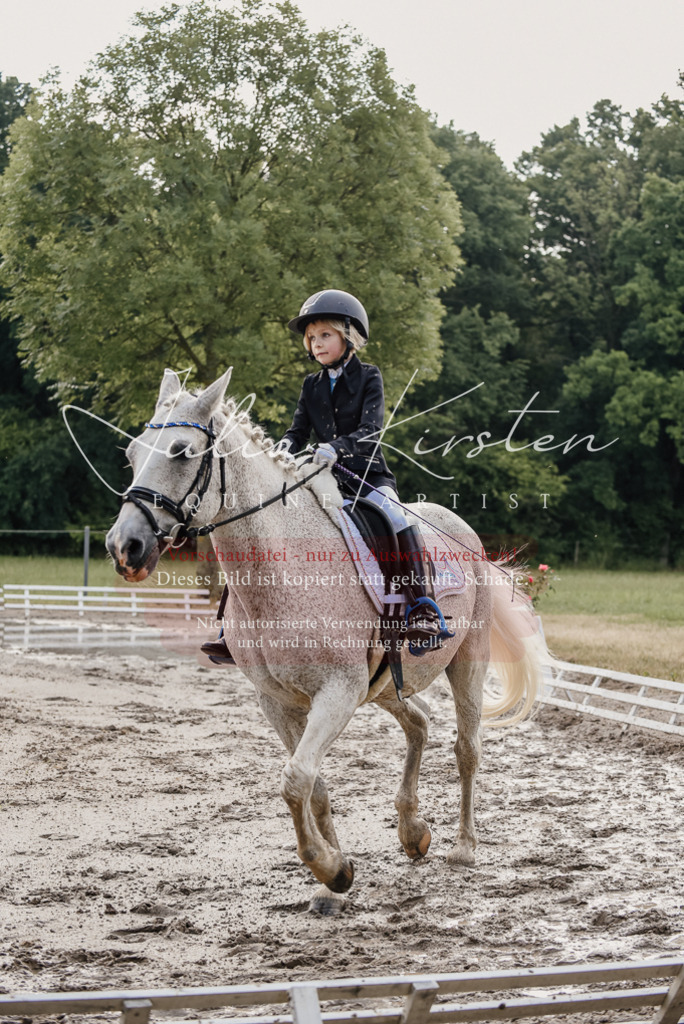 DSC_8309 | Pferde- und Turnierfotografie in Westsachsen. Pferdeportraits, Auftragszeichnungen und intuitive Kunst.