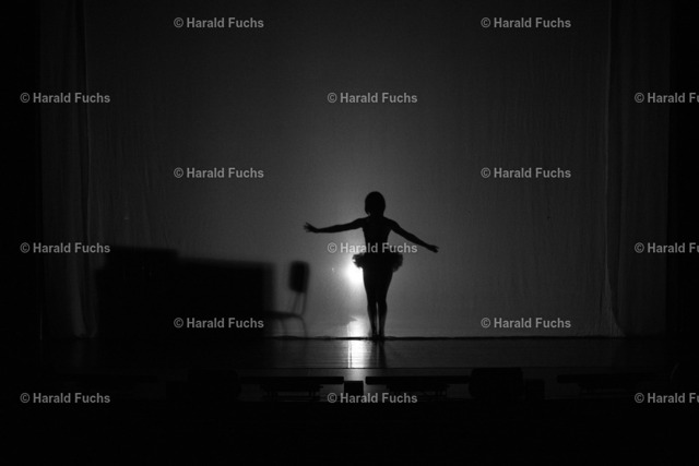 _FOX5464 | Fotoshop Harald Fuchs - Realisiert mit Pictrs.com