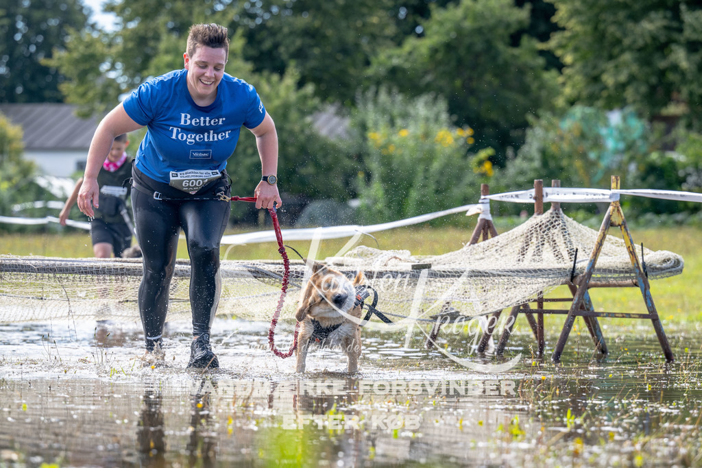 1221_ZZ94002 | kk-dogfotos