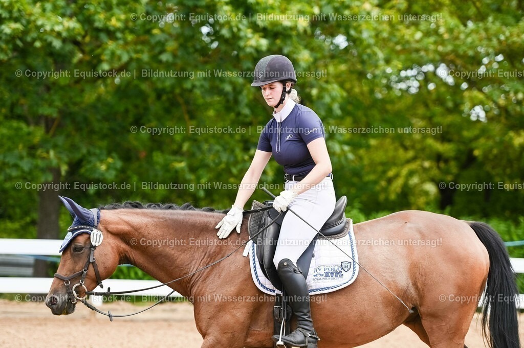 20230715_05_Dressurprüfung Kl.A++_0117 | equistock