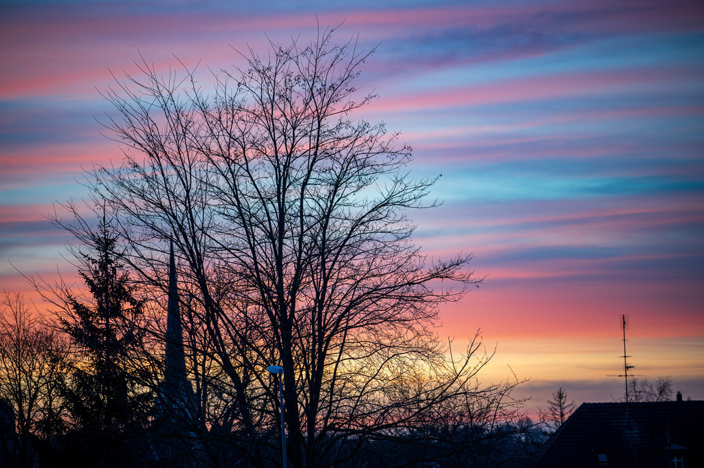 Mystische Bäume - Matzingen, Schweiz | Die Mystik der Bäume unterscheidet sich je nach Jahreszeit  - Realisiert mit Pictrs.com