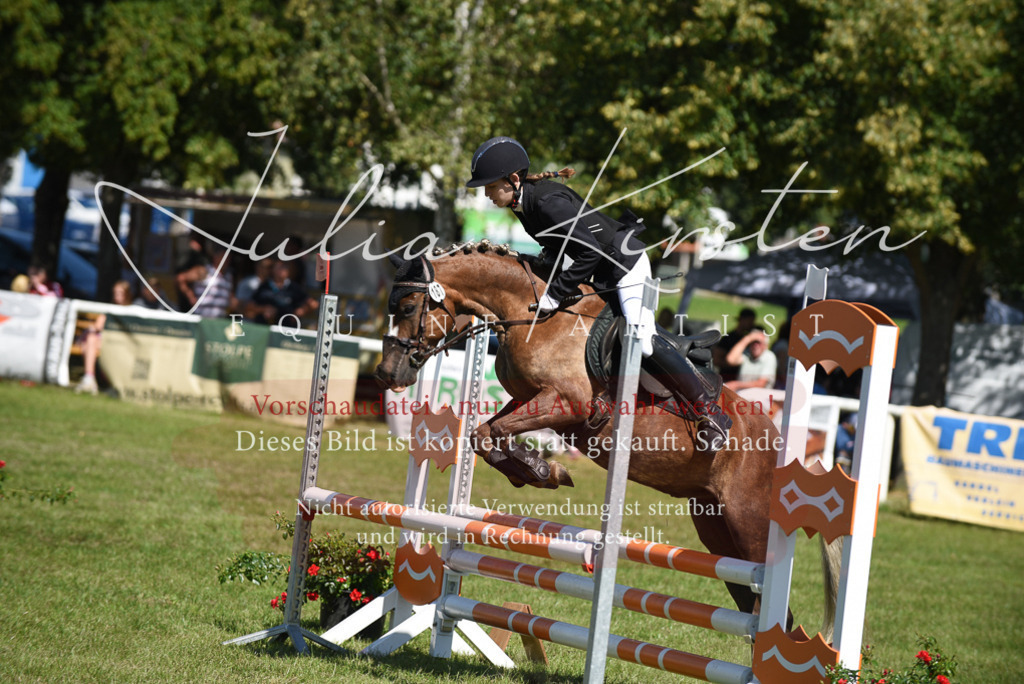 DSC_9464 | Pferde- und Turnierfotografie in Westsachsen. Pferdeportraits, Auftragszeichnungen und intuitive Kunst.
