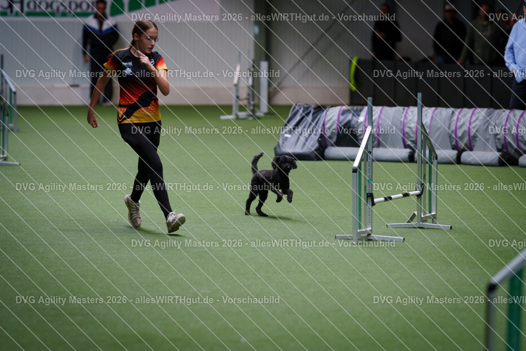 allesWIRTHgut_Tierfotografie-DVG_Agility_Masters_2026-12_34-7R508718 | Professionelle Tierfotografie in Mönchengladbach von Daniel Wirth (allesWIRTHgut). Liebevolle & natürliche Bilder von Hunden & Katzen für unvergessliche Erinnerungen.