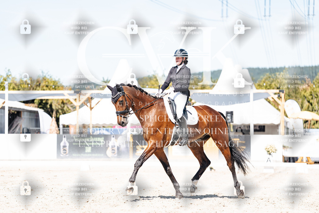 CK909767 | Turnierfotografie Pferdefotografie Trier Rheinland-Pfalz Pferdesport Reitsport Tierfotografie Sportfotografie Pferdevideo Pferdevideografie Equestrianvideography equestrianphotography  - Realisiert mit Pictrs.com