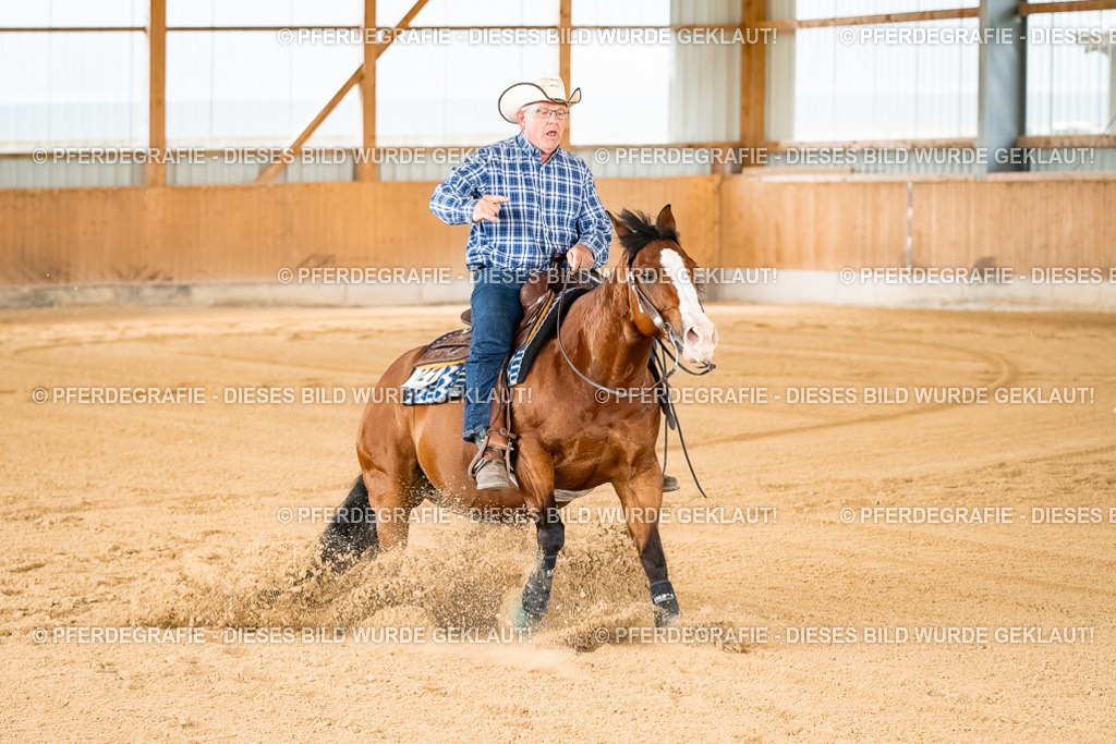 DSC01772 | Pferdegrafie