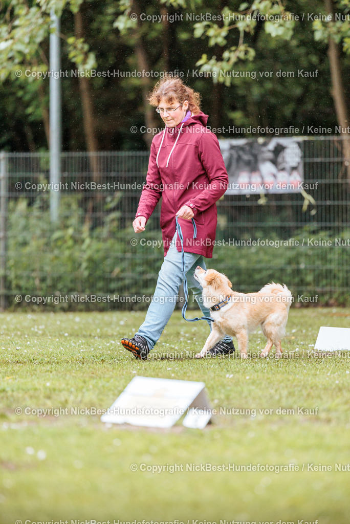 RO-Blumenthal-2026-Nickbest-Hundefotografie-0628 | Dein Hund! Dein Moment! Deine Erinnerungen! Hundefotografie in Bremen Blumenthal. Ich fange die besonderen Momente deines Vierbeiners ein – ob Indoor mit Blitzanlage oder in der freien Natur. Sicher dir dein Moment und dein Termin für eure Erinnerungen.