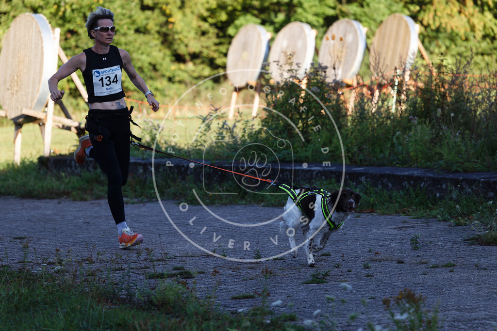 0L8A4795 | Hundefotografie, Tierfotograf, Pfotenfotografie, Fotoshooting Hund, Hunde Portrait, Hundesport, Hundeportraits, Heideshooting, Hunde, Sportfotograf, Hundefotograf, Turnierhundsport, THS,  - Realisiert mit Pictrs.com