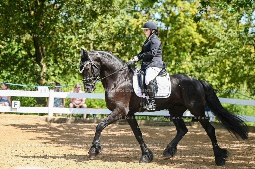 20230715_02_Dressurreiterprüfung Kl.L_0163 | equistock