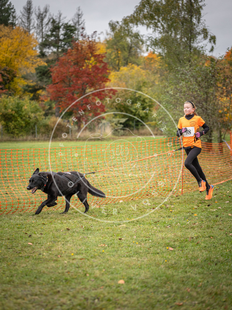 Pfotenfotografie_DV3A3441 | Hundefotografie, Tierfotograf, Pfotenfotografie, Fotoshooting Hund, Hunde Portrait, Hundesport, Hundeportraits, Heideshooting, Hunde, Sportfotograf, Hundefotograf, Turnierhundsport, THS,  - Realisiert mit Pictrs.com