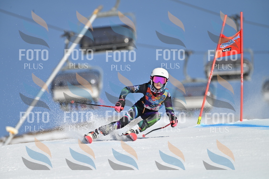 BGV_7789 | holidayphoto