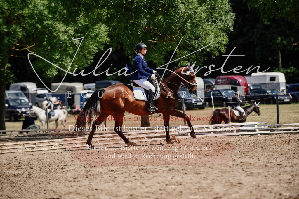 DSC_1250 | Pferde- und Turnierfotografie in Westsachsen. Pferdeportraits, Auftragszeichnungen und intuitive Kunst.