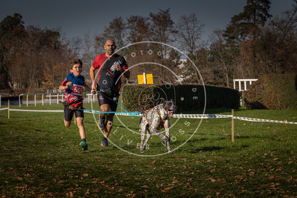 CaniXpix_0L8A8231 | Hundefotografie, Tierfotograf, Pfotenfotografie, Fotoshooting Hund, Hunde Portrait, Hundesport, Hundeportraits, Heideshooting, Hunde, Sportfotograf, Hundefotograf, Turnierhundsport, THS,  - Realisiert mit Pictrs.com