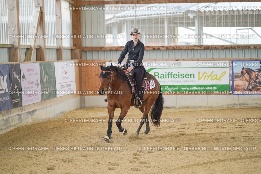 DSC09937 | Pferdegrafie