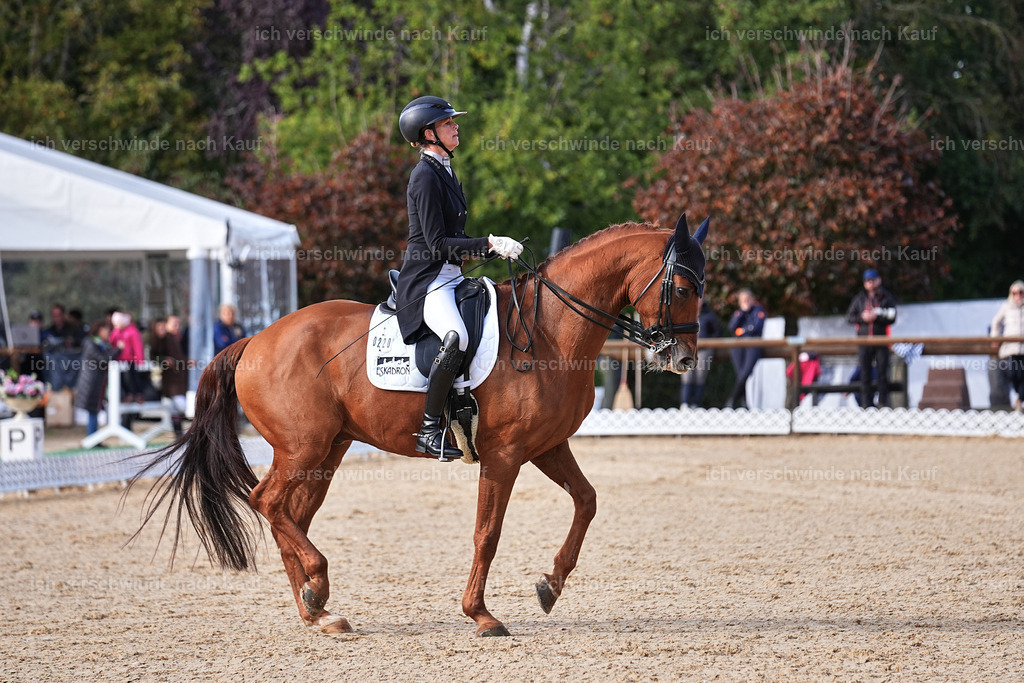 13-220-S___ -Marixx-7050 | working equitationturnier fotograf videograf stoibphotography marixx film working equitation deutschland reitsport turnierfotografie eventfotografie equestrian events