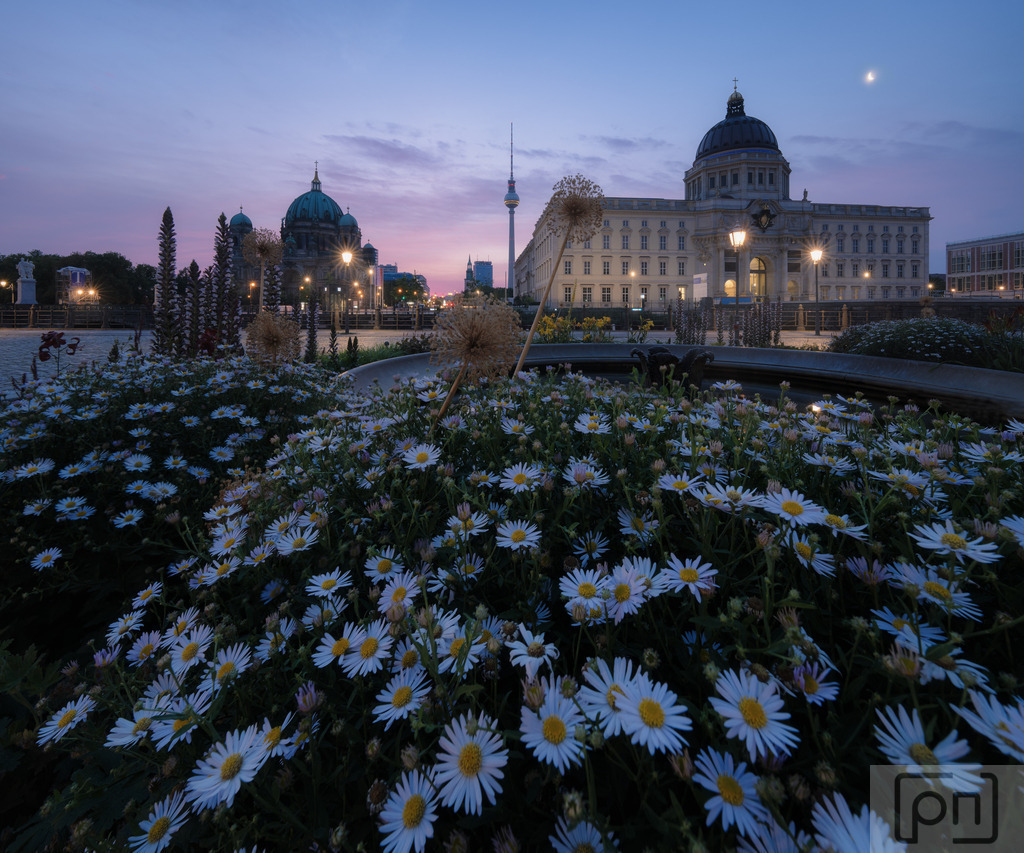 Humboldt Forum Berlin | Ein neues Stück Berlin