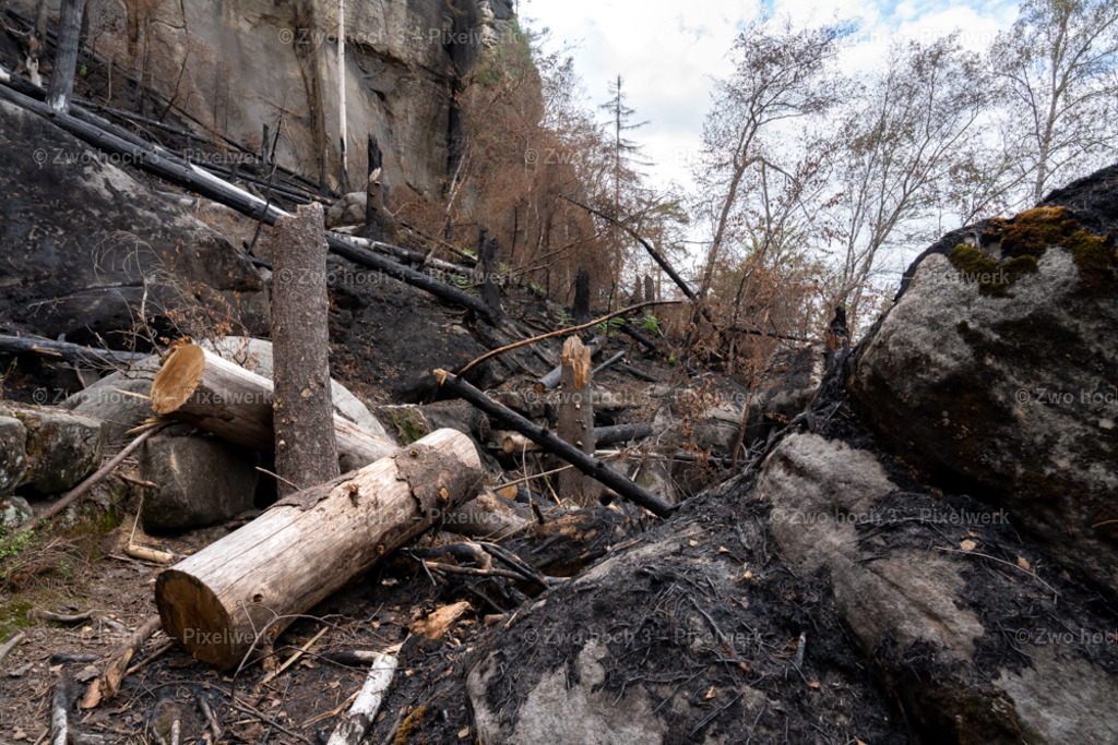Obere_Affensteinpromenade_Felsen_Waldbrand_Baumschlag | 2022-09-02_Waldbrandgebiete_2 - Realisiert mit Pictrs.com