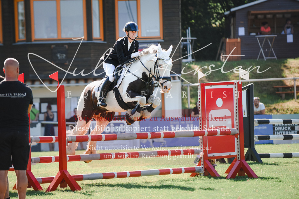 DSC_2585 | Pferde- und Turnierfotografie in Westsachsen. Pferdeportraits, Auftragszeichnungen und intuitive Kunst.