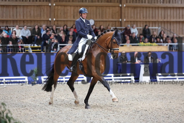 Zeutern_2025_Prfg.Nr.01_Dressurprfg.Kl.S_Grand Prix_Thomas Wagner_Escolux (2) | Alle Fotos der Reiterjournal Fotografin Doris Matthaes im Reiterjournal Online-Fotoshop. - Realisiert mit Pictrs.com