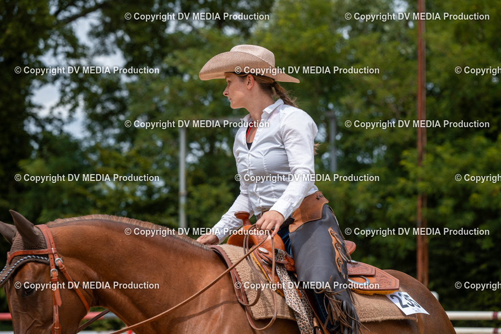 EWP_6274 | dv-media-shop - Realisiert mit Pictrs.com