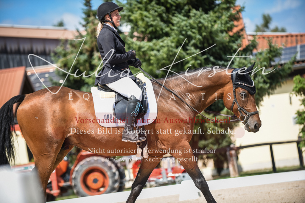 DSC_9037 | Pferde- und Turnierfotografie in Westsachsen. Pferdeportraits, Auftragszeichnungen und intuitive Kunst.