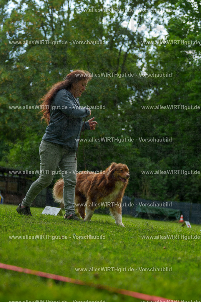 @allesWIRTHgut_Tierfotografie - www.allesWIRTHgut.de - 7R505125 | Professionelle Tierfotografie in Mönchengladbach von Daniel Wirth (allesWIRTHgut). Liebevolle & natürliche Bilder von Hunden & Katzen für unvergessliche Erinnerungen.