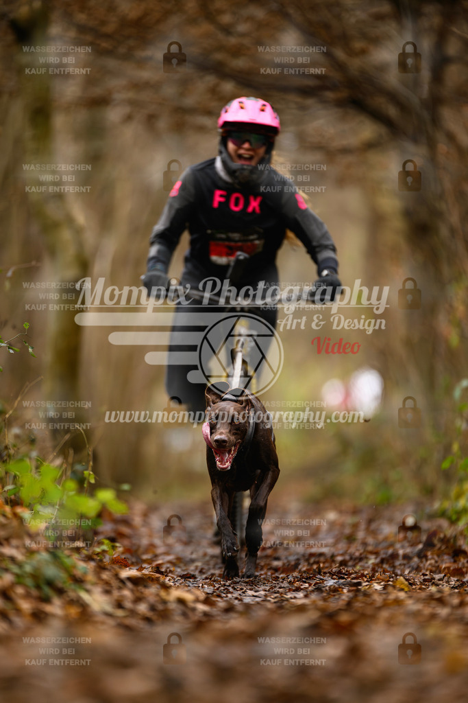 MompixPhotography_Eschau2024_DS1-7 | PayLife