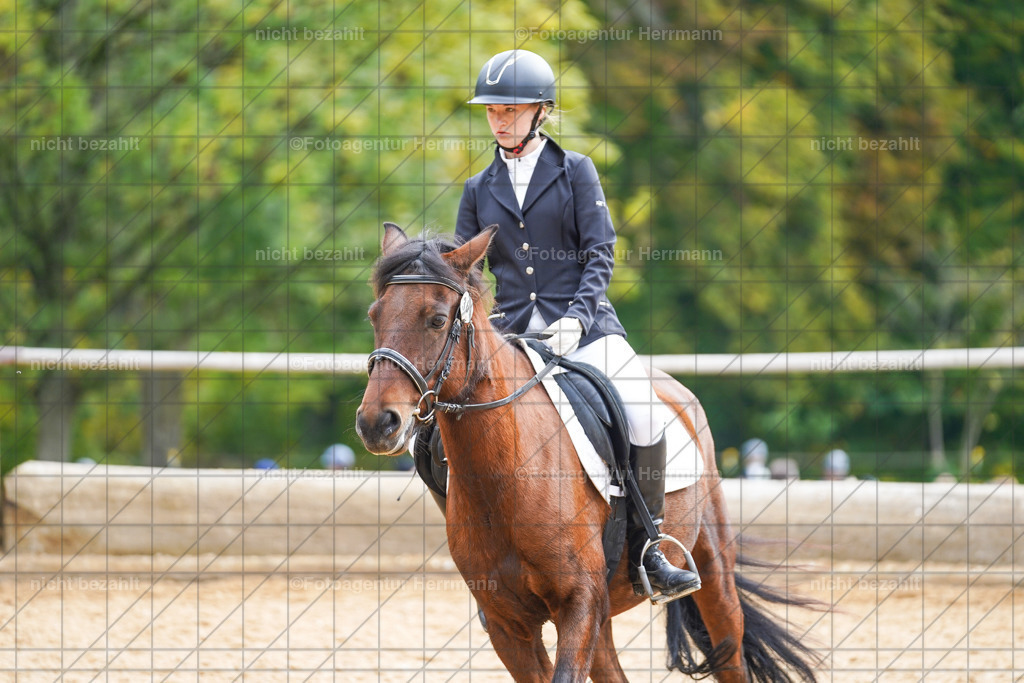 20221008-FAH01281 | Diessen am Ammersee, 2022, Dressur- und Springturnier, Reitsportbilder, Turnierfotografen Bayern, Pferdefotografen, Fotoagentur Herrmann, Turnierbilder