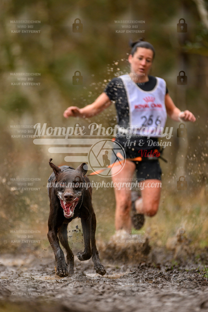 MompixPhotography_CDSM24_SA_CCS-32 | PayLife