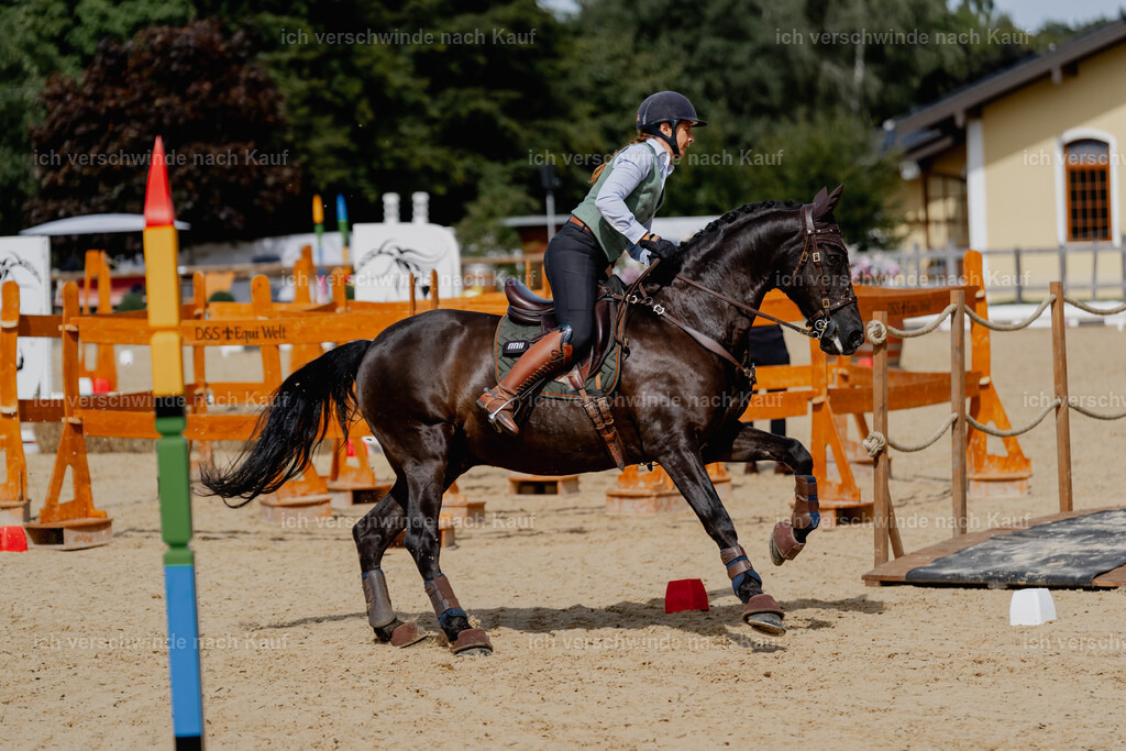 Mirjam25_FHC2025-2826 | working equitationturnier fotograf videograf stoibphotography marixx film working equitation deutschland reitsport turnierfotografie eventfotografie equestrian events