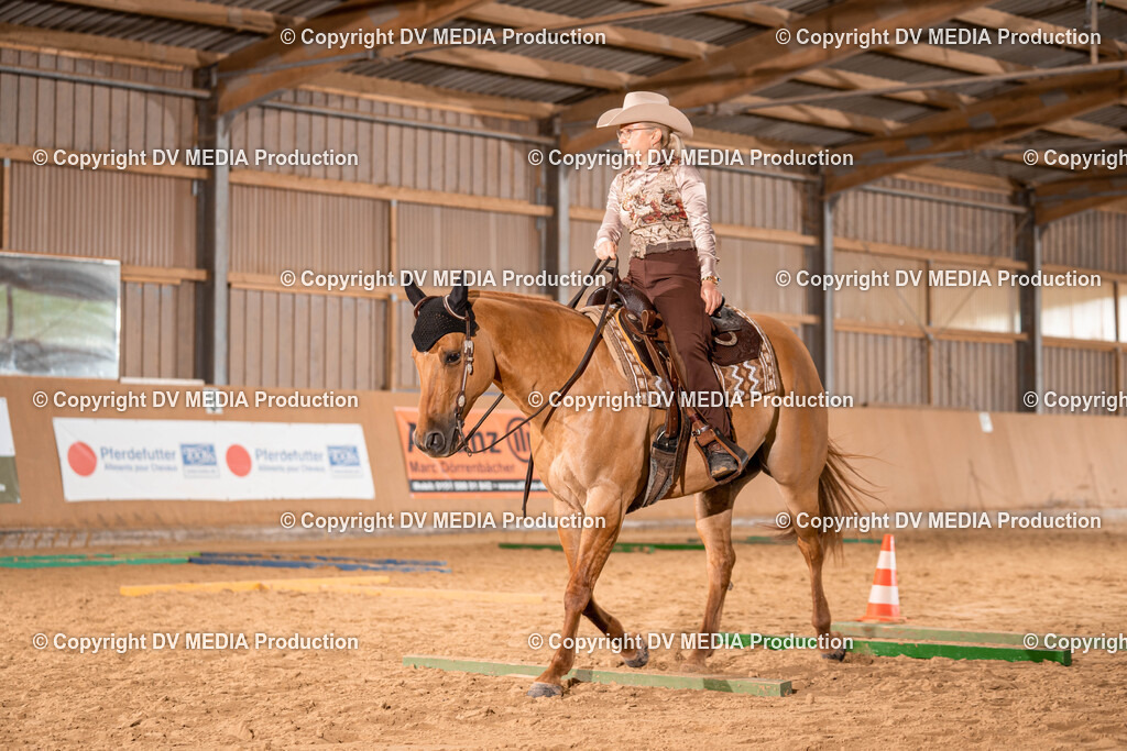 Losheim Tag 2-203 | dv-media-shop - Realisiert mit Pictrs.com