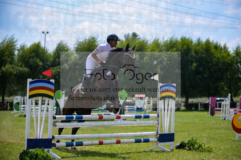 Reitturnier Voxtrup | Entdecke hochwertige Reitturnierfotos von Foto Oger. Professionell, emotional und authentisch – jetzt Lieblingsmomente im Shop bestellen.Deutschlandweite Turnierfotografie. - Realisiert mit Pictrs.com