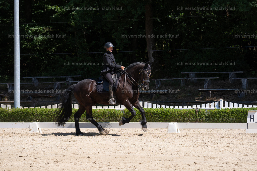 WS_DR_132_sinafilmart_IN09439 | working equitationturnier fotograf videograf stoibphotography marixx film working equitation deutschland reitsport turnierfotografie eventfotografie equestrian events
