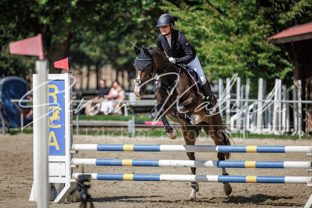 20260905-_3LI9037 | Tierfotografie Pferde, Hunde, Katzen, Haustiere.
Turnierfotografie Reitturniere, Reiten, Springreiten, Dressur in Hanau, dem Main-Kinzig-Kreis und dem Rhein-Main- Gebiet um Frankfurt