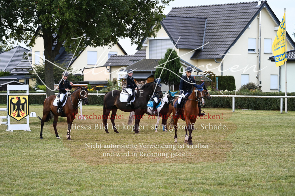 DSC_5763 | Pferde- und Turnierfotografie in Westsachsen. Pferdeportraits, Auftragszeichnungen und intuitive Kunst.