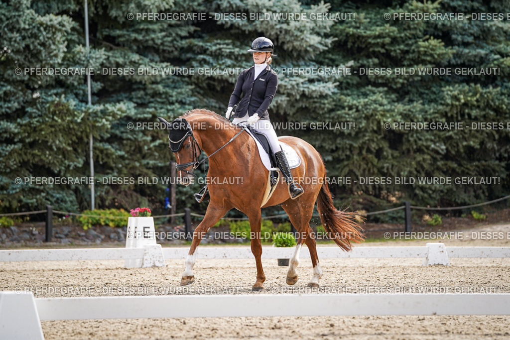 DSC08364 | Pferdegrafie