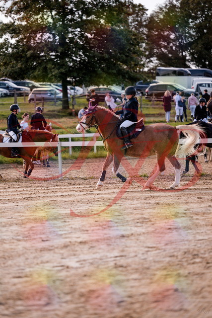 2026_10_03_Siefer-Hof_144448_Z81_19003977 | Professionelle Reitsport-, Turnier- und Eventfotografie von Robert Broda. Galerien mit ausgewählten und bearbeiteten Bildern direkt online ansehen und bestellen.