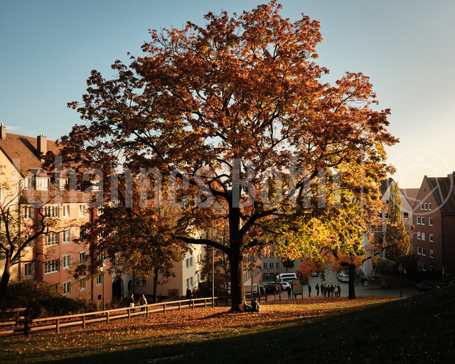 Nürnberg_010 | Johannes Bohn Media - Realisiert mit Pictrs.com