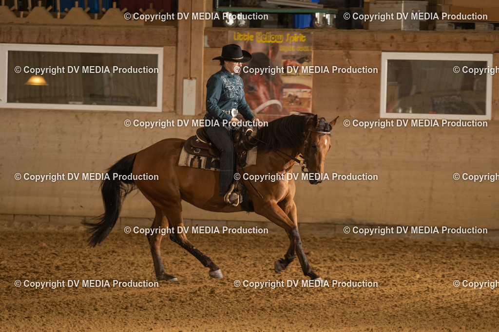 LAU00531 | dv-media-shop - Realisiert mit Pictrs.com