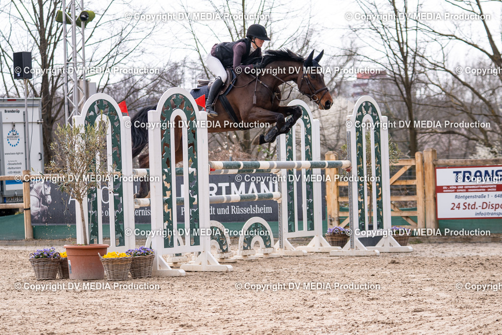 Kranichstein Tag 2-1748 | dv-media-shop - Realisiert mit Pictrs.com