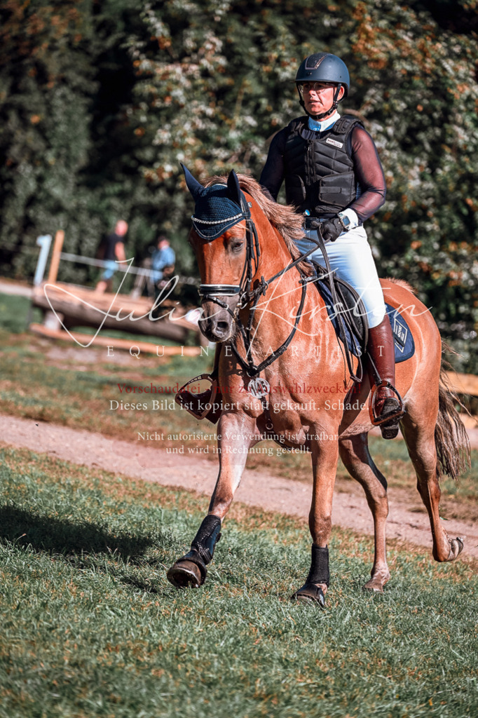 DSC_0803 | Pferde- und Turnierfotografie in Westsachsen. Pferdeportraits, Auftragszeichnungen und intuitive Kunst.