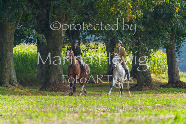 Jagd Perdoel_MarinaHewigMCH04837 | Fotografie, FotoArt, PferdesportArt, Pferdesportfotografie, Landschaftsfotografie, Reisefotografie, Reise, Pferde - Realisiert mit Pictrs.com