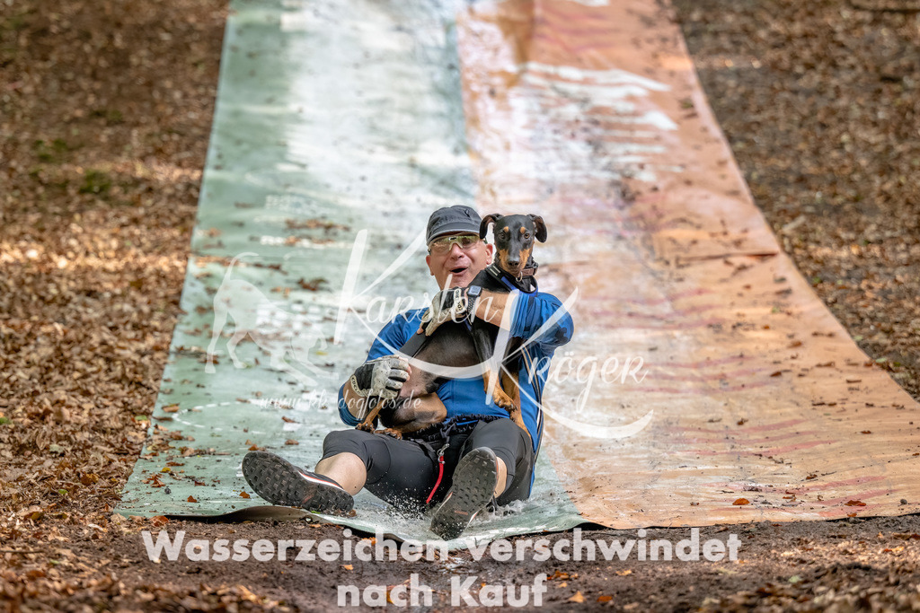 1252_ZZ91253-Bearbeitet | kk-dogfotos