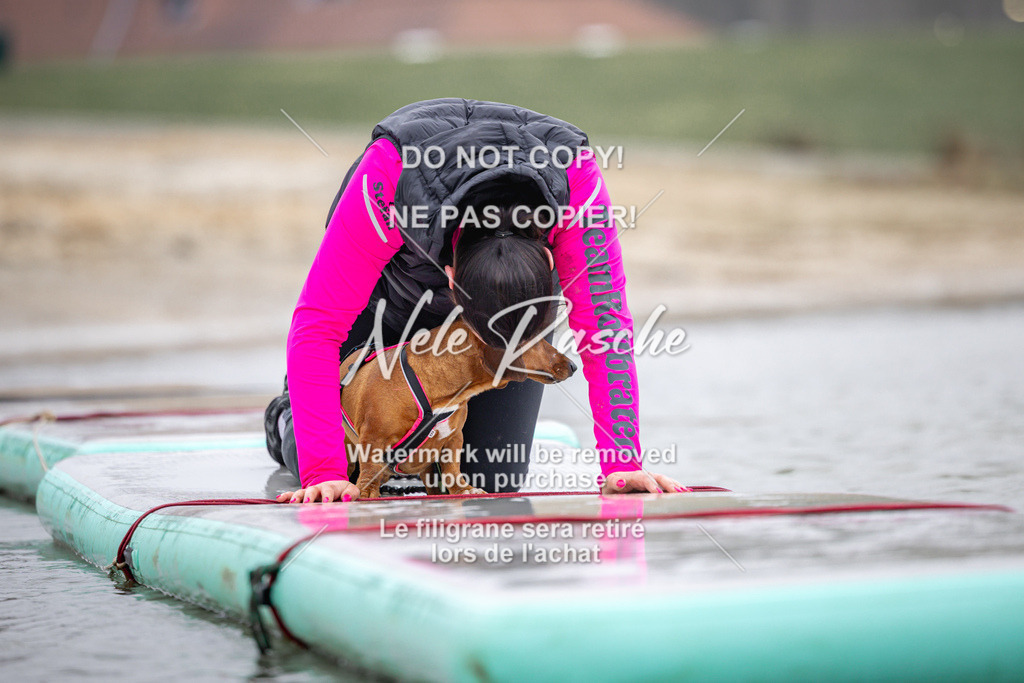 nelerasche_Hulsbeek_Sa1030-1100_410 | nelerasche