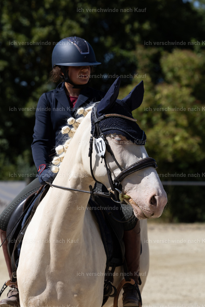 WE_Trail_27_KerstinBernhardt-18 | working equitationturnier fotograf videograf stoibphotography marixx film working equitation deutschland reitsport turnierfotografie eventfotografie equestrian events