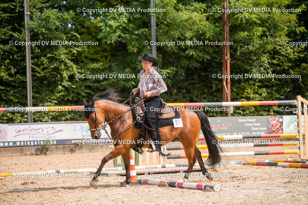 ZS2_7697 | dv-media-shop - Realisiert mit Pictrs.com