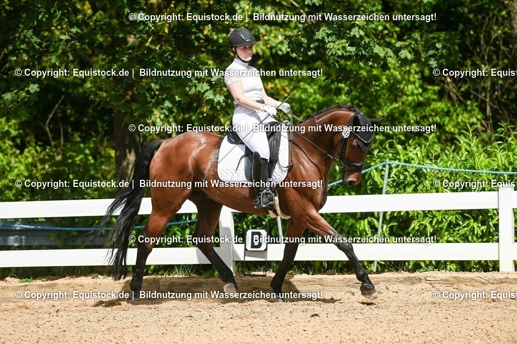 20230715_02_Dressurreiterprüfung Kl.L_0198 | equistock
