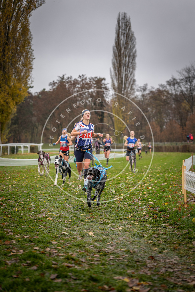 CaniXpix_DV3A9032 | Hundefotografie, Tierfotograf, Pfotenfotografie, Fotoshooting Hund, Hunde Portrait, Hundesport, Hundeportraits, Heideshooting, Hunde, Sportfotograf, Hundefotograf, Turnierhundsport, THS,  - Realisiert mit Pictrs.com