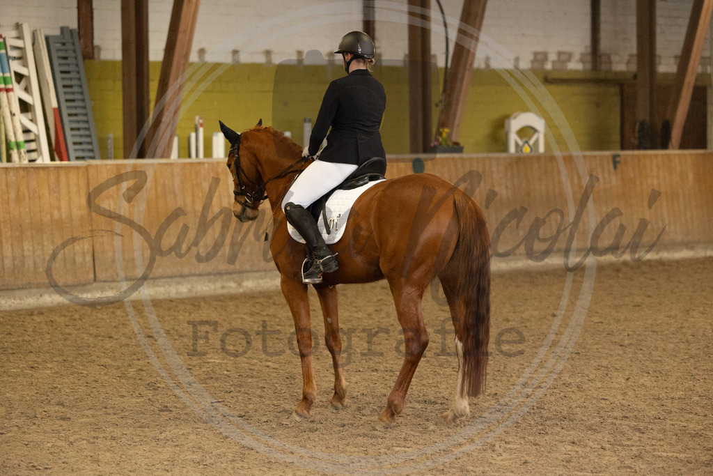 994A9385 | sabrinanicolaifotografie - Realisiert mit Pictrs.com